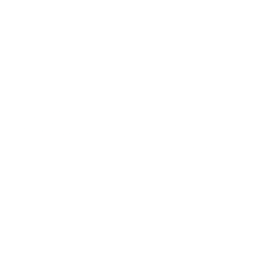 Health Services FL Logo